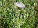 Bild4