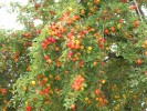 Bild5