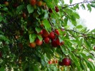 Bild6