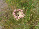 Bild1