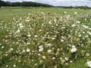 Bild5