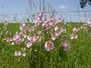 Bild1
