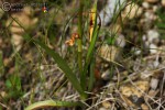 Bild12