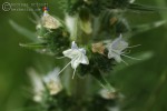 Bild7
