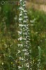 Bild8