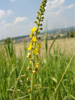 Bild2