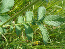 Bild6