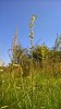 Bild9