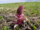 Bild1