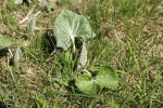 Bild10