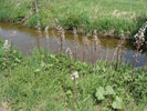 Bild4