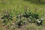 Bild7