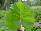 Bild6