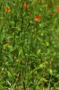 Bild8