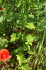 Bild9