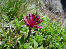 Bild6