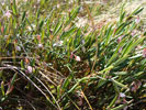 Bild1