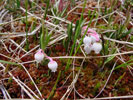 Bild4