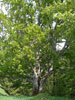 Bild1