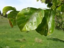 Bild11
