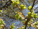 Bild2