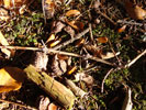 Bild5