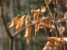 Bild6