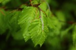 Bild7