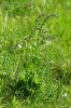 Bild5