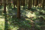 Bild1