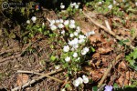 Bild11