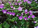 Bild5