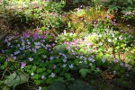 Bild8