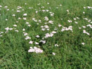 Bild1
