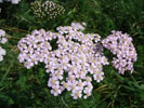 Bild4
