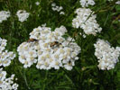Bild4