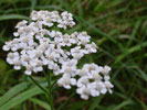 Bild5