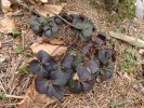 Bild8