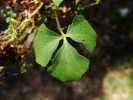 Bild9