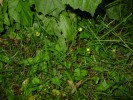 Bild1