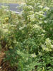 Bild1