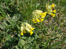 Bild4