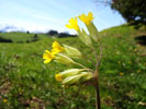 Bild5
