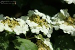 Bild5