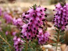 Bild8