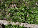 Bild1