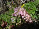 Bild4
