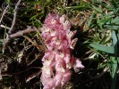 Bild9
