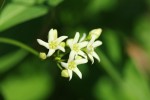 Bild7