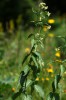 Bild8